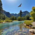 Mountain Creek, Queensland